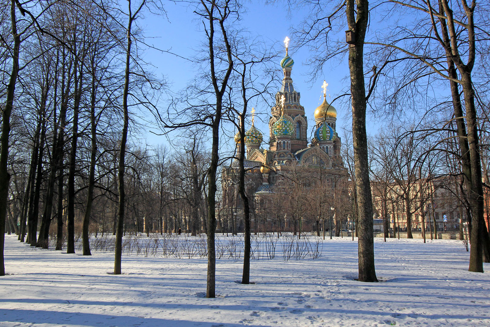 Saint Petersbourg - Mars 2012